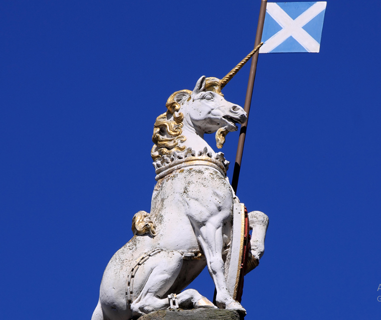 Reason why Scotland Chose the Unicorn as Its National Animal